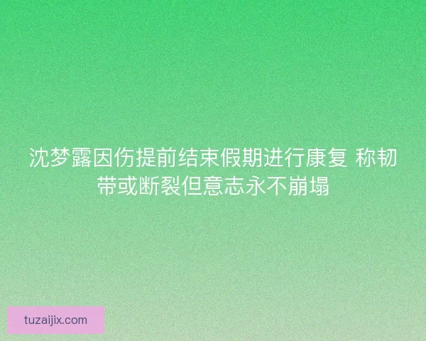 沈梦露因伤提前结束假期进行康复 称韧带或断裂但意志永不崩塌