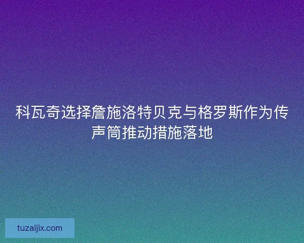 科瓦奇选择詹施洛特贝克与格罗斯作为传声筒推动措施落地