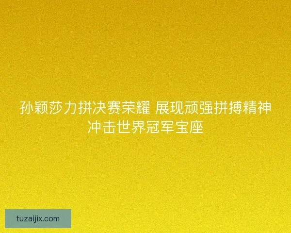 孙颖莎力拼决赛荣耀 展现顽强拼搏精神冲击世界冠军宝座